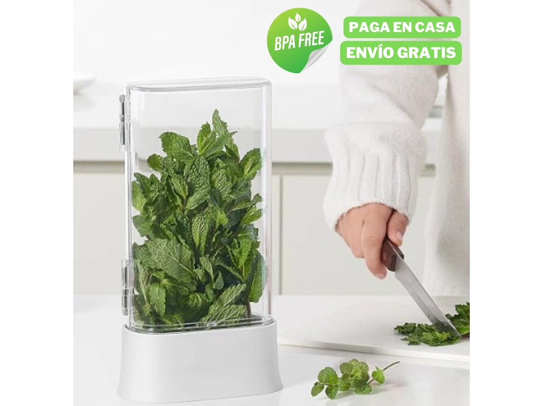 Contenedor de hierbas