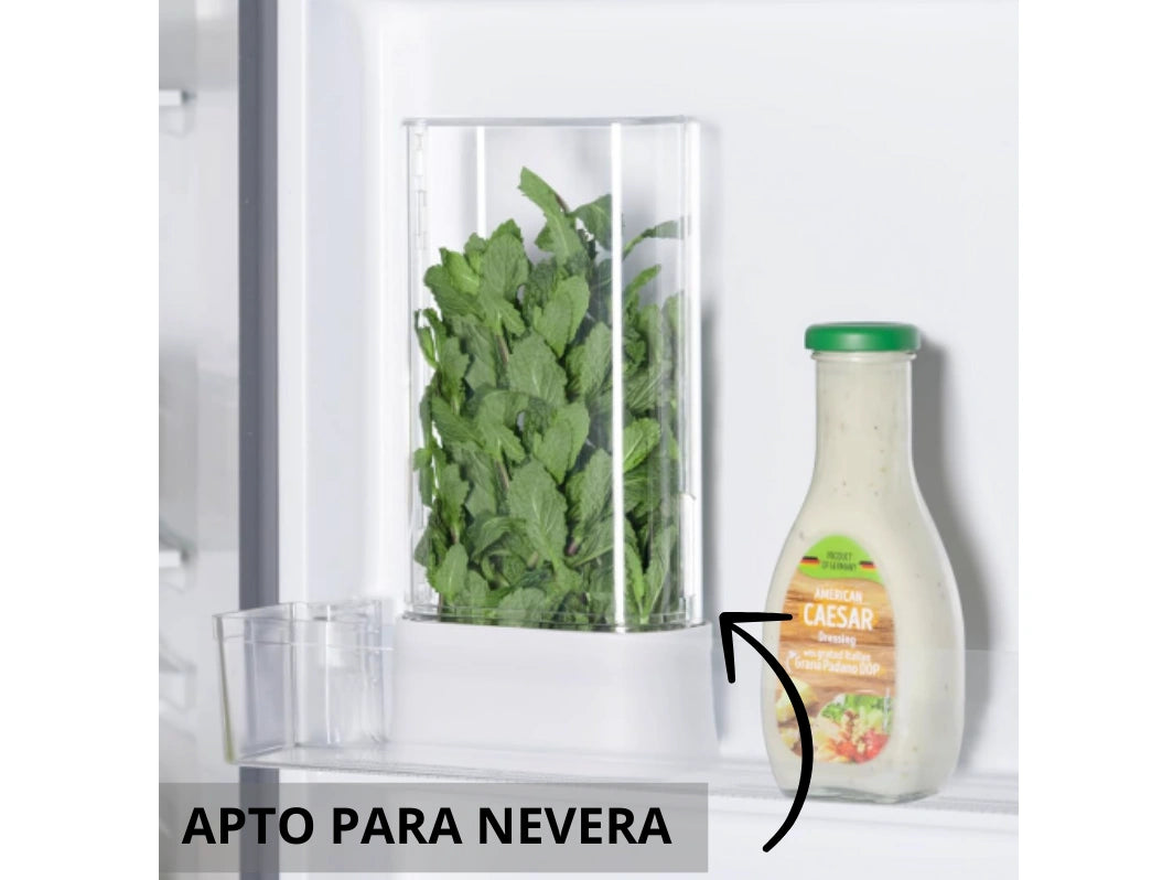Contenedor de hierbas