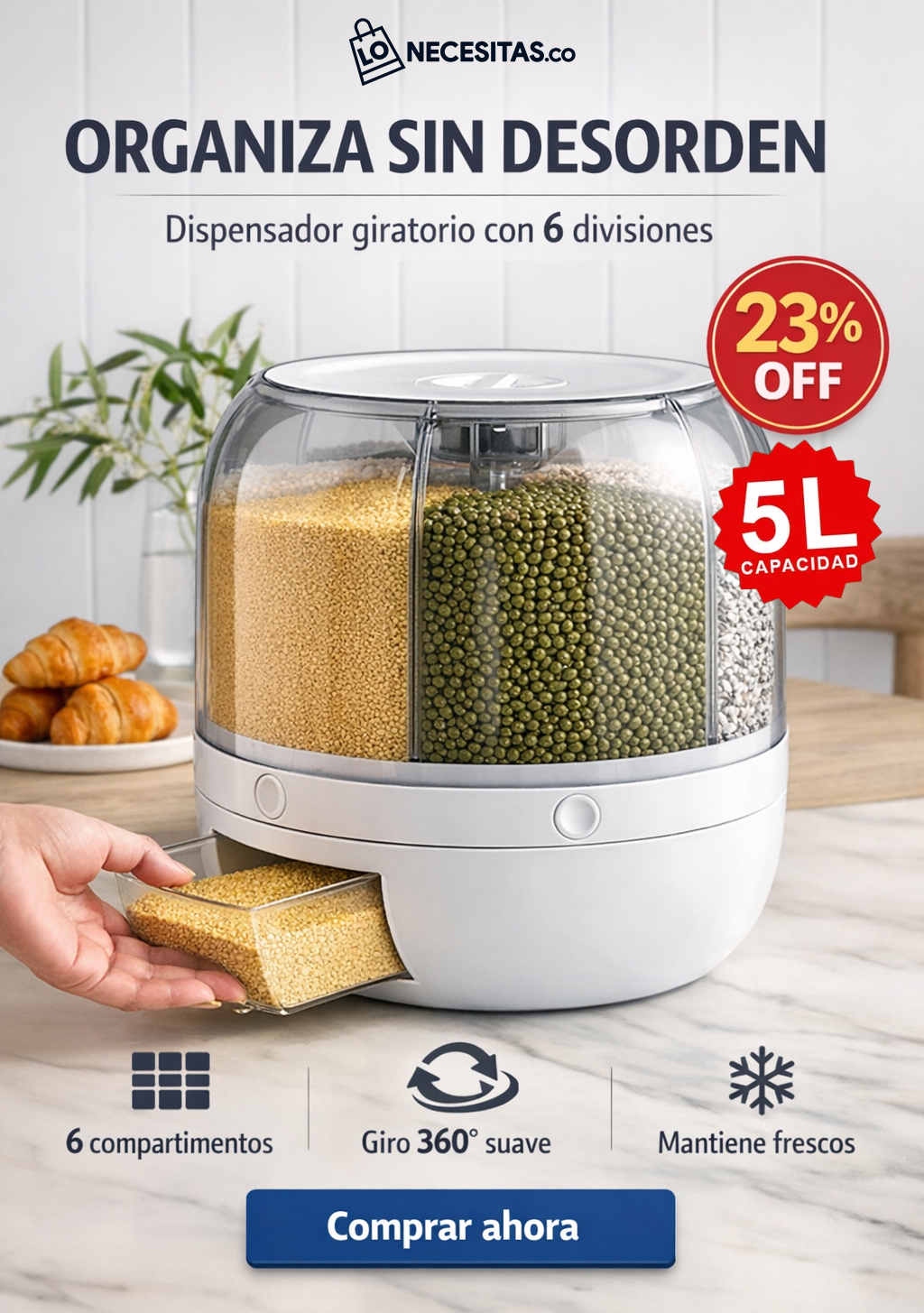 dispensador de grano y cereales / 6 diviciones